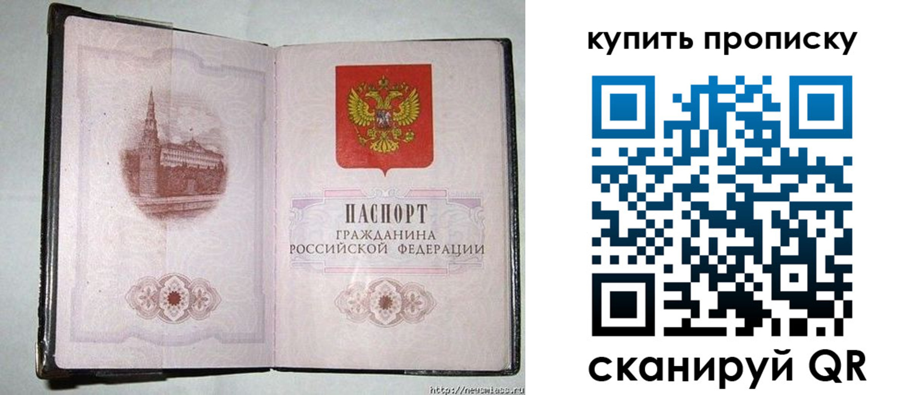 прописка для школы в Челябинске